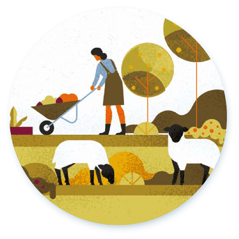 A person pushes a wheelbarrow filled with produce, while two sheep stand close by.