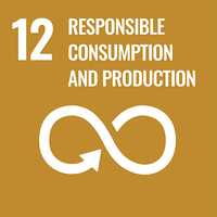 "12: Responsible consumption and production" is written in bold, white writing on a dark yellow background. Below it, an icon for infinite.