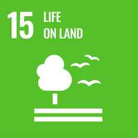 "15: Life on land" is written in bold, white writing on a bright green background. Below it, there are white icons to represent a tree, birds, and the ground.
