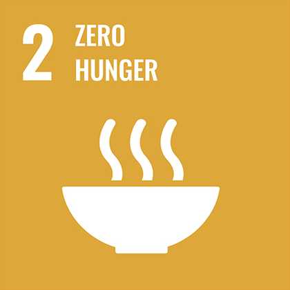 "2: Zero hunger" is written in bold, white writing on a deep yellow background. Below it, an icon for a steaming hot bowl of food.