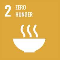 "2: Zero hunger" is written in bold, white writing on a deep yellow background. Below it, an icon for a steaming hot bowl of food.
